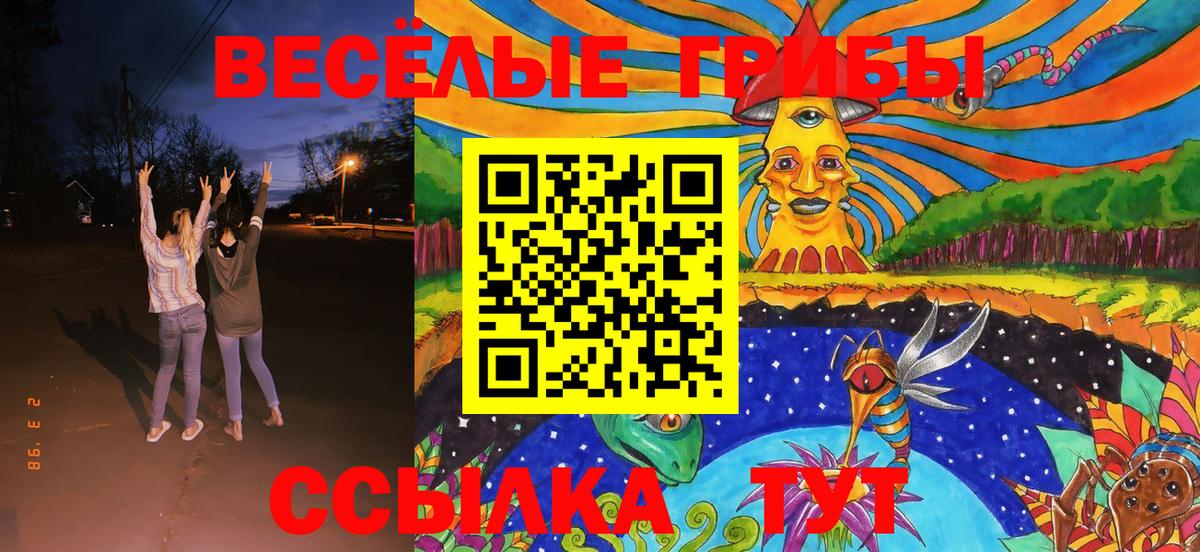 Псилоцибиновые грибы Cubensis Новокуйбышевск