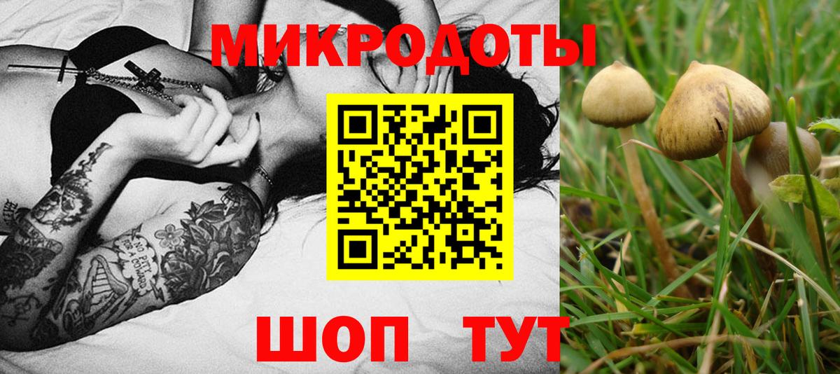 Псилоцибиновые грибы Cubensis  Вход с VPN  Новокуйбышевск 